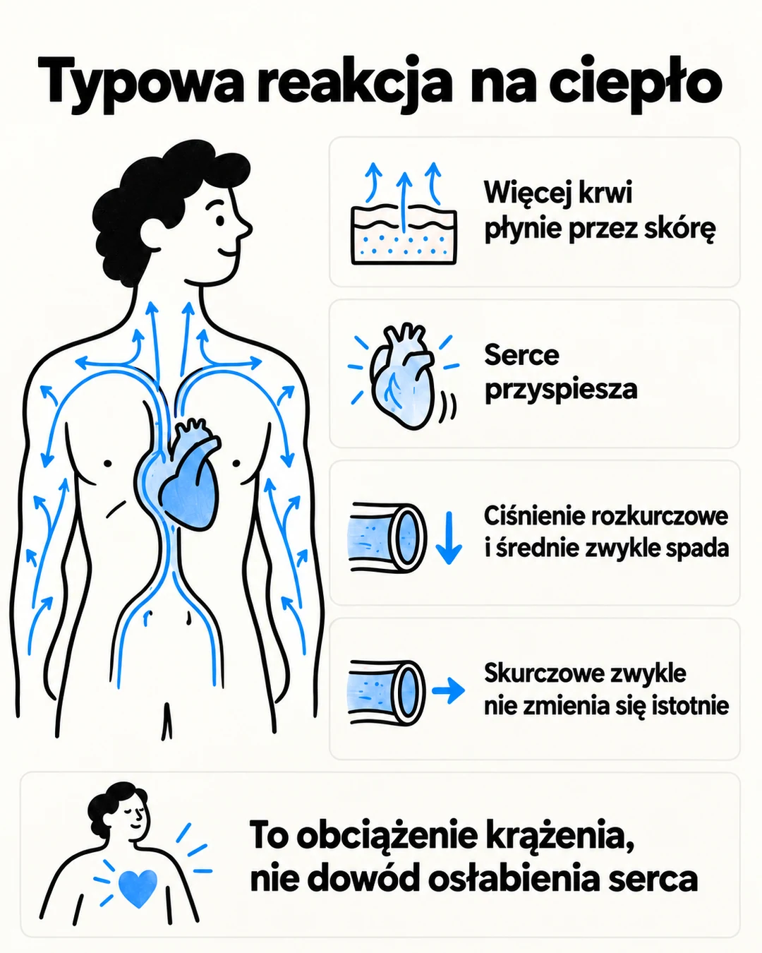Schemat pokazuje, że ciepło zwiększa przepływ krwi przez skórę i przyspiesza pracę serca